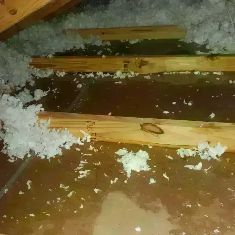 Attic Water Damage in Manning, ND