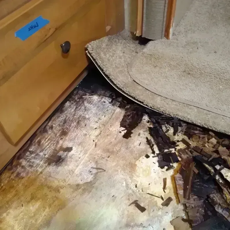 Best Wood Floor Water Damage Service in Manning, ND